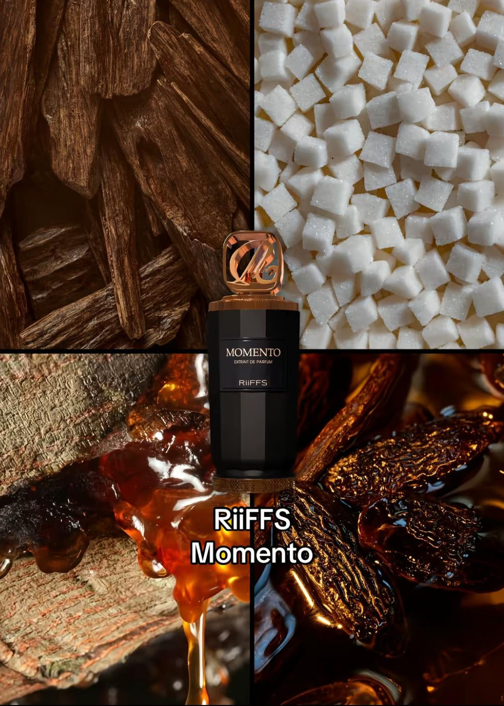 Momento Arabians Tonk